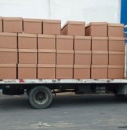 Donan cajas de cartón para enterrar a muertos en Ecuador