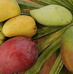 Los Mangos que Salvan Vidas en India
