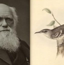 Conoce los manuscritos de Darwin