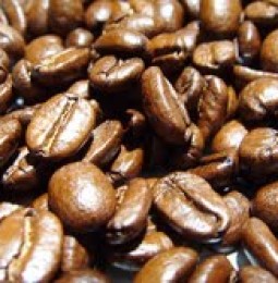 Aumenta producción de café
