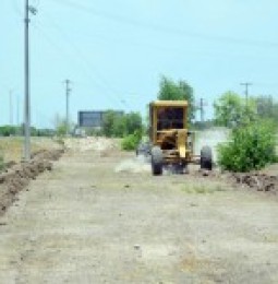 Reforestarán el tramo de carretera Delicias-Meoqui