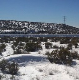 Pronostican nieve en zonas montañosas de Chihuahua