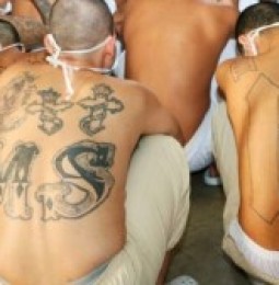 Inician extorsiones en Mexico miembros de pandillas salvadorenas
